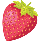 Milkshake Premix Strawberry
