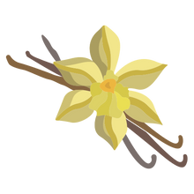 Vanilla