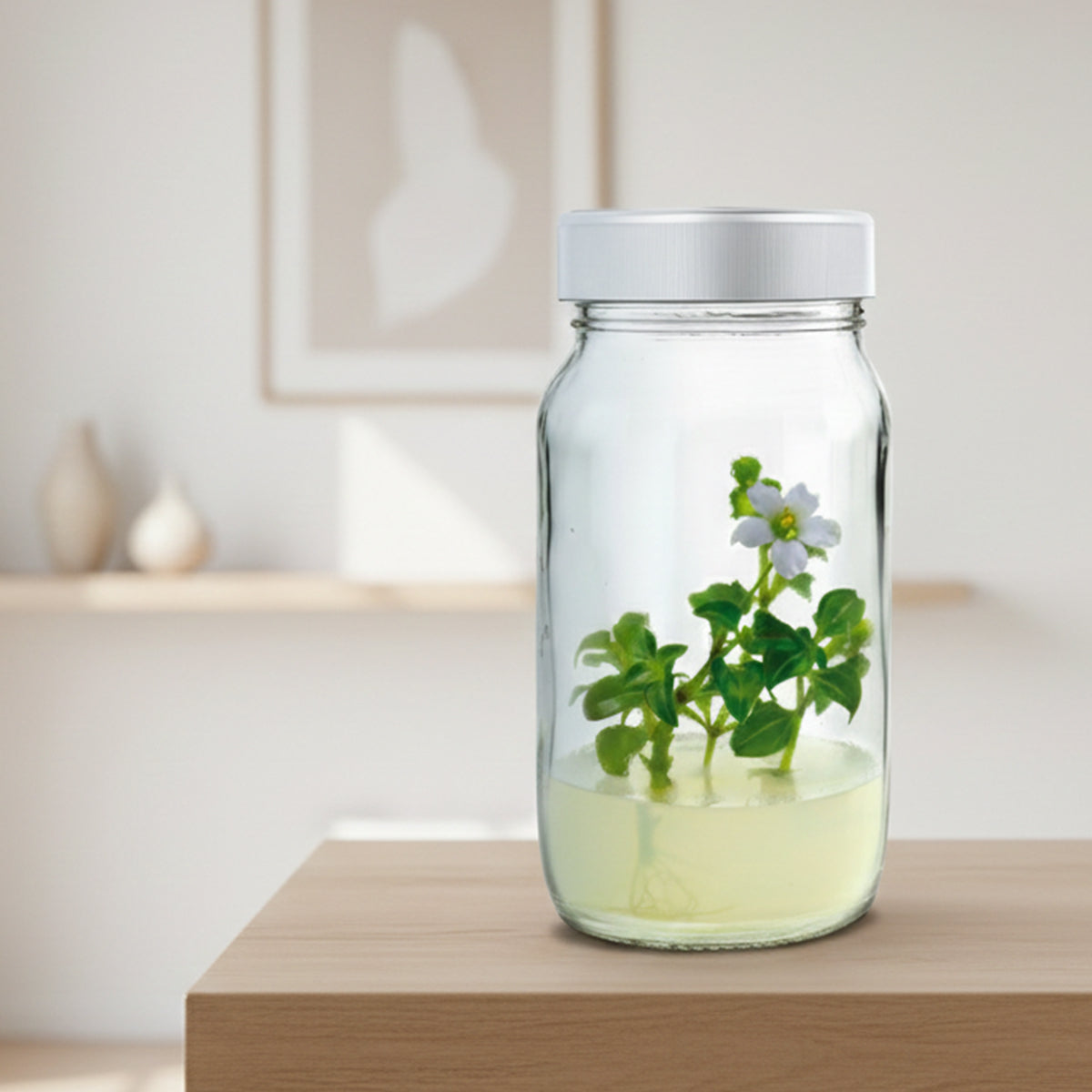 Agar Agar Technical Grade - 500 gm