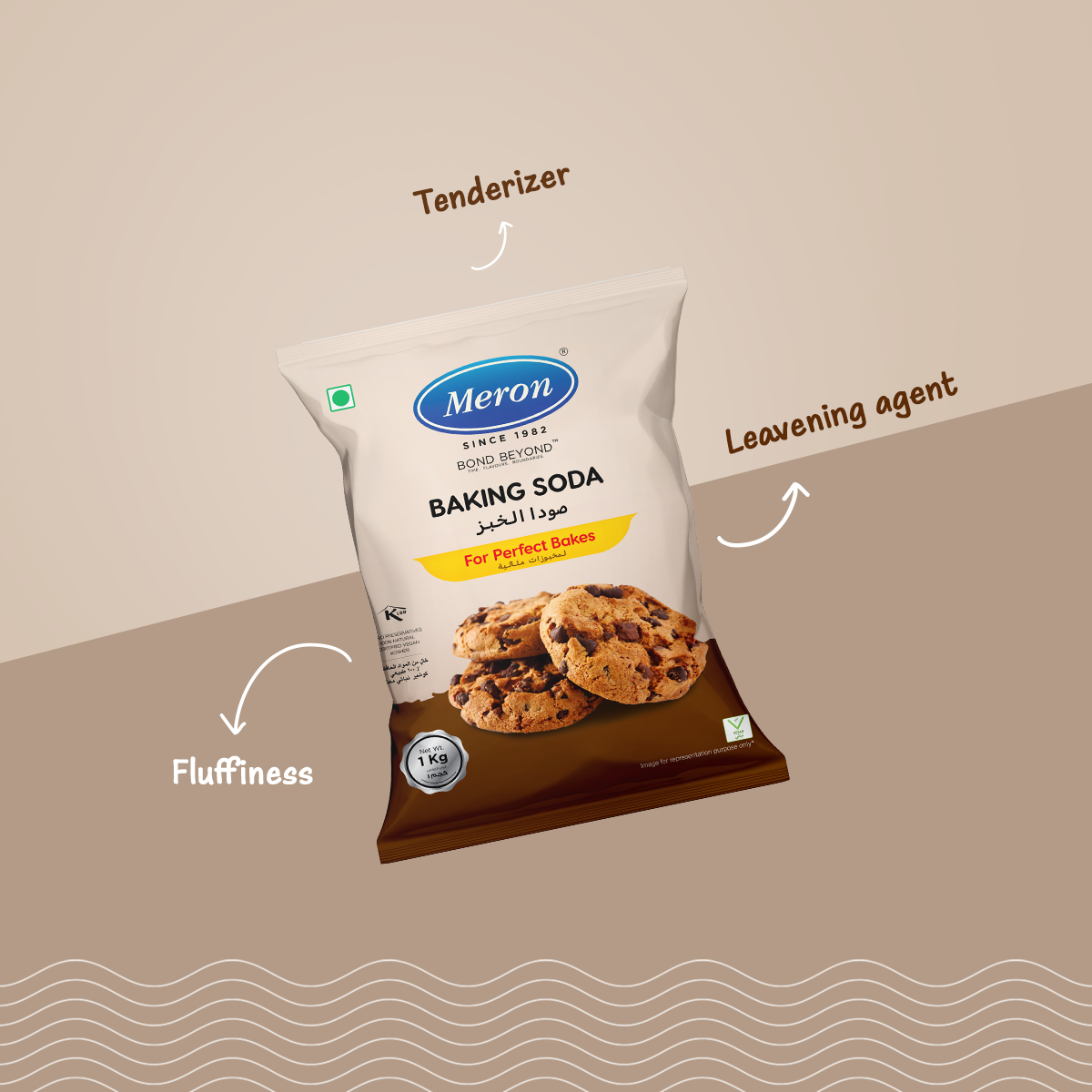 Sodium Bicarbonate Baking Soda - 1Kg