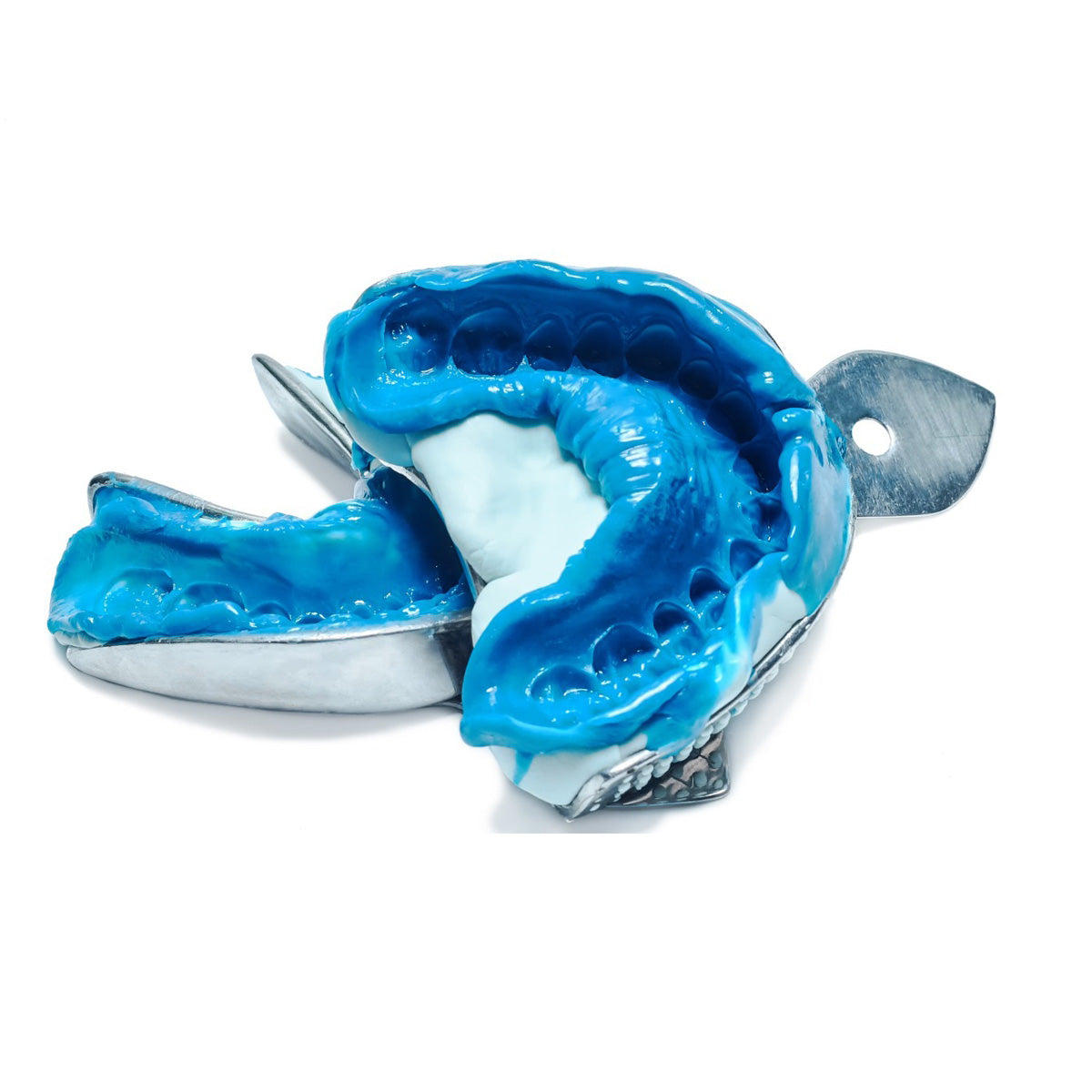 Denticast Dental Grade Alginate - 453 gm