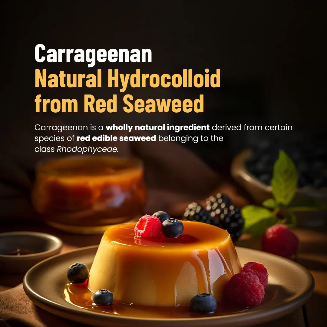 Pure Refined Kappa Carrageenan